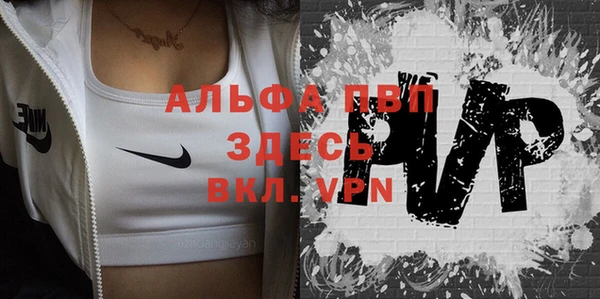 дживик Арсеньев