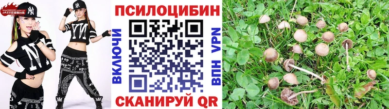 Псилоцибиновые грибы прущие грибы  Унеча 